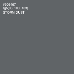#606467 - Storm Dust Color Image